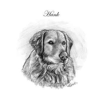 dog, Pencil Sketch - Arthub.ai